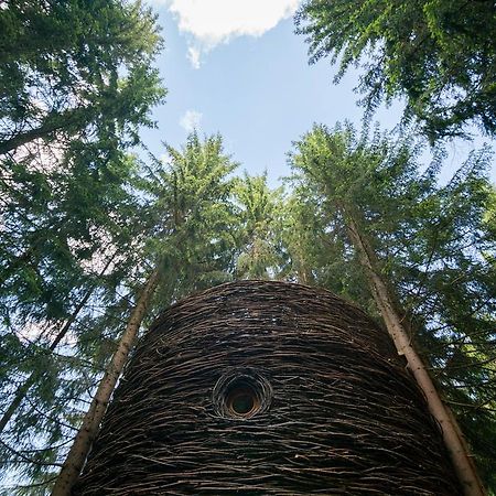 Cabane Entre Terre Et Ciel Saint-Nicolas-la-Chapelle  Екстер'єр фото